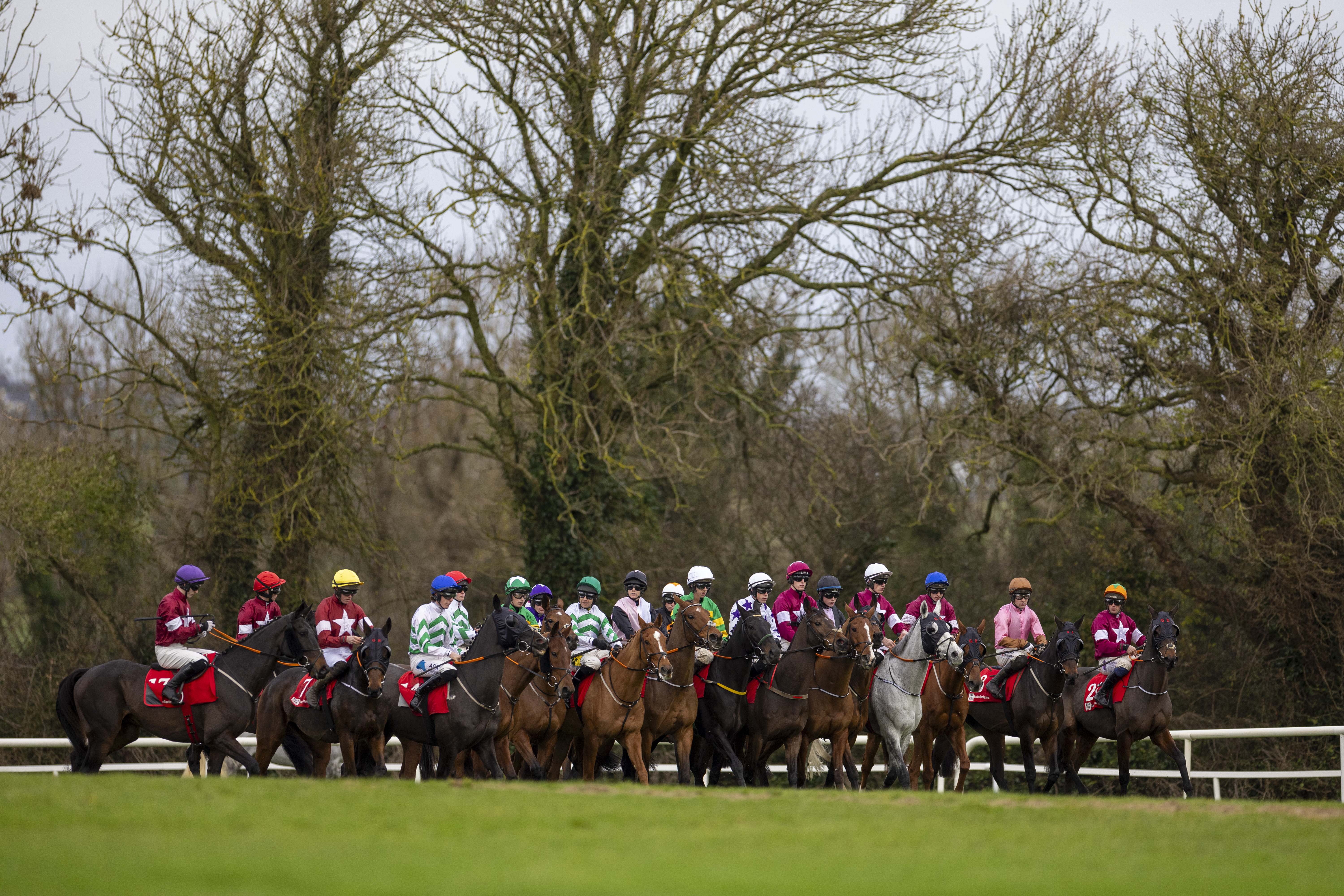 Navan Racing Festival